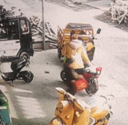 骑电动车表情包gif_青蛙骑车表情包太搞笑了！