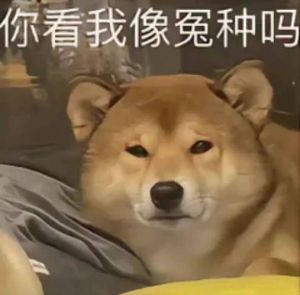 超级爆笑沙雕图片_超搞笑沙雕图，保证让你乐翻天！
