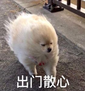 走起图片搞笑_走起图太搞笑了！