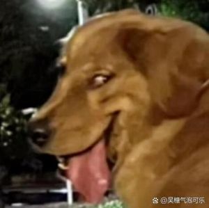 坏笑的表情包图片_微信坏笑表情包，调节气氛小能手！