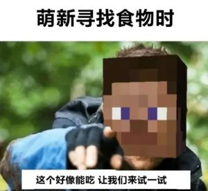 我的世界表情包沙雕_我的世界沙雕表情包，笑死个人！