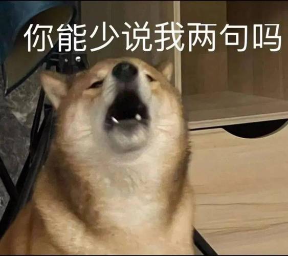 搞笑沙雕表情包_让你笑到肚子疼的欢乐神器！
