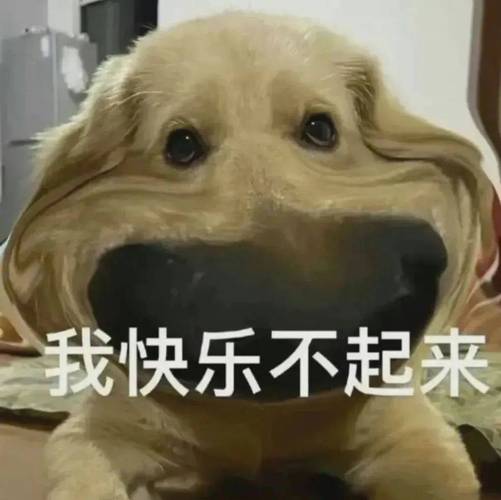 搞笑沙雕表情包_让你笑到肚子疼的欢乐神器！
