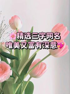 三字押韵网名情侣_风扬帆与帆随风的诗意情侣网名