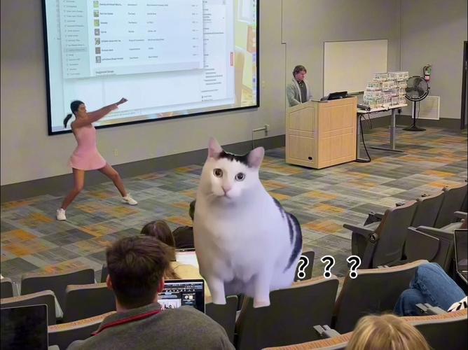 邪恶小猫表情包图片_搞笑猫咪表情包，萌坏你！