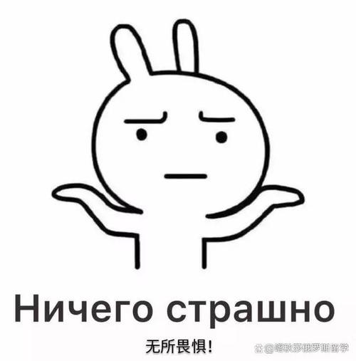俄式表情包_俄式搞笑表情包，全球聊天必备！