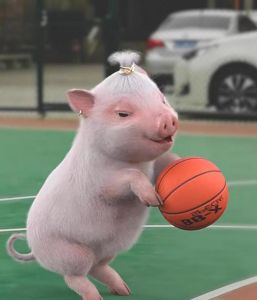 猪猪图片100张搞笑_100张搞笑农村肥猪图，萌趣可爱笑翻天