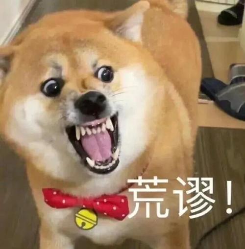 好看的搞笑图片_搞笑图片100张，让你笑翻天！
