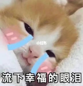 悄悄的我走了搞笑图片_影子悄悄走，沙沙笑声起