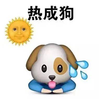 天热搞笑图片笑死人_夏天看搞笑图解压，熊大百图笑翻天！