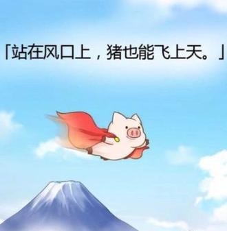 猪飞上天图片恶搞_猪飞上天搞笑图，朋友圈必备乐子！
