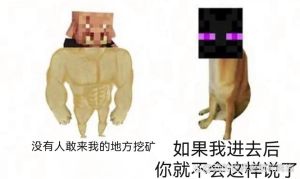mc梗图合集_MC精选搞笑梗图，超欢乐！