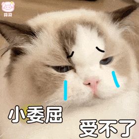 那我走了表情包猪_那我走了猪表情包网上爆火，搞笑又实用！