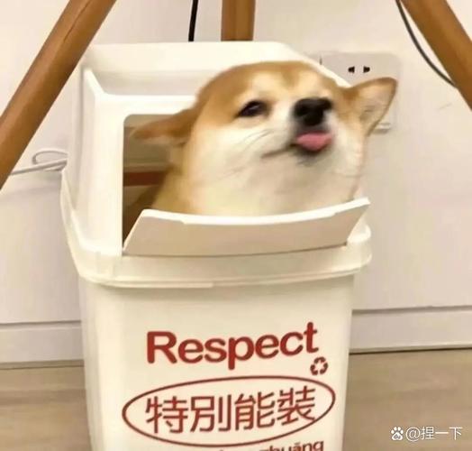 网络热梗搞笑合集_超火网络梗50+10大热梗,让你笑到不行! 网络热梗搞笑合集_超火网络梗50+10大热梗,让你笑到不行!