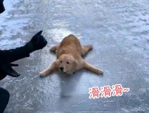 不小心摔跤搞笑图片_搞笑摔跤图，笑出声！