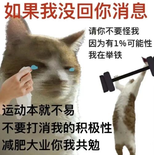 健身搞笑图片高清_健身搞笑图，练着练着就乐了！