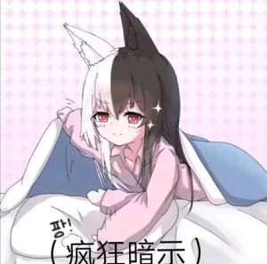 二次元梗图原图_搞笑好玩的二次元流行文化