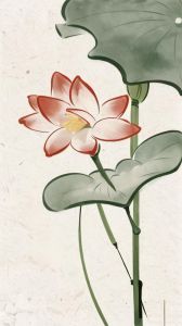 佛系很静心的干净图片_心静图，让你瞬间平静
