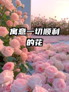 寓意一切顺利的图片_灵验图片助你暴富好运！