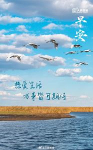 肆意图片_释放你的自由灵魂