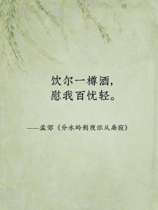 洒脱图片带字_潇洒图配励志词，轻松治愈，让你放下压力好好活