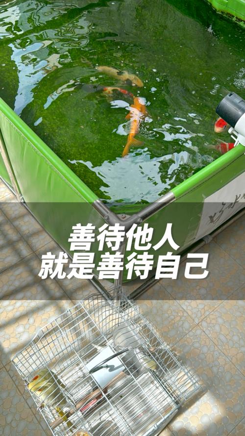 善待他人就是善待自己的图片_善待他人也爱自己，日子更美更阳光