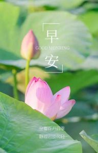 禅语静心早安图片大全_禅意早安图，心静则安