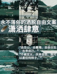 关于洒脱的文案_心态洒脱不较真，日子总会变更好