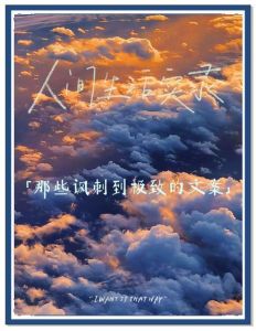 自嘲又带讽刺的文案_生活总无奈，笑着扛过去