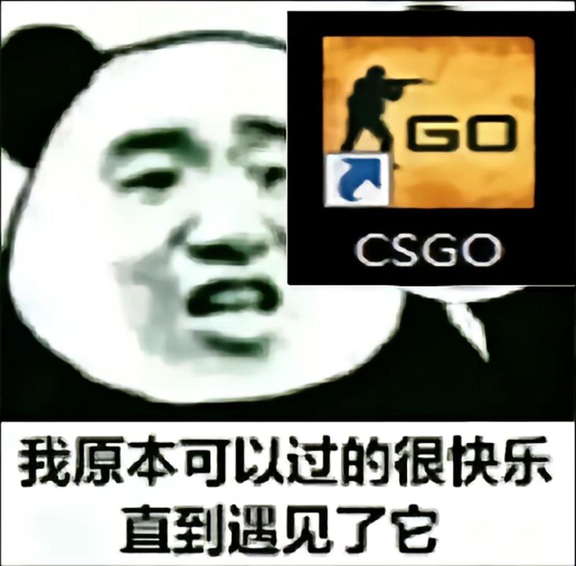 csgo搞笑表情包_CSGO搞笑表情包,逗乐社交必备!_表情包 - 帅图库