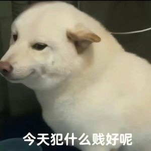 40个抖音最火表情包_表情包超好玩，聊天看视频都更有趣！
