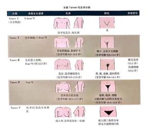 女孩发育过程照片_青春期女孩成长照分享，注意场合防误会，教你如何保护自己，你经历过青春期吗？