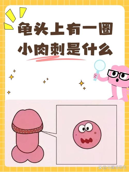 正常龟图片_看图识别常见问题，养龟疑问欢迎讨论！